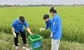 'Cánh đồng xanh’ của tuổi trẻ Thái Nguyên