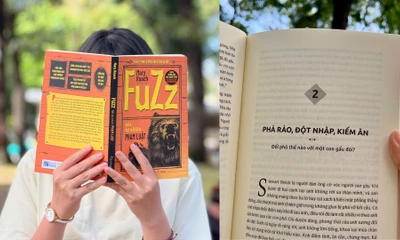 Fuzz - Khi tự nhiên phạm luật: Bạn sẽ làm gì khi gặp gấu đột nhập vào nhà? 