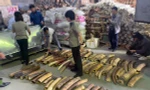 Việt Nam tiêu huỷ nhiều tấn ngà voi, vảy tê tê, xương sư tử