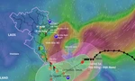 Ribut menghampiri Da Nang, hujan lebat memuncak mulai tengah hari hari ini