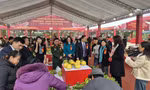 Chợ 'Xuân Đoàn Kết' đông nghịt khách mua sắm