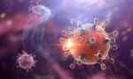 Cảnh báo virus Hanta: Phát hiện chuột trong nhà, người dân cần làm gì?