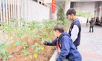 Vì sao con ngoan ở nhà ra đời hay vấp ngã?