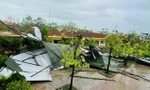 Hơn 1.000 trường học thiệt hại sau bão số 10