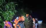 Cứu 6 người dân Quảng Trị mắc kẹt trong rừng giữa lũ dữ