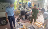 Thanh Hóa phát hiện cơ sở kinh doanh thực phẩm là côn trùng bốc mùi