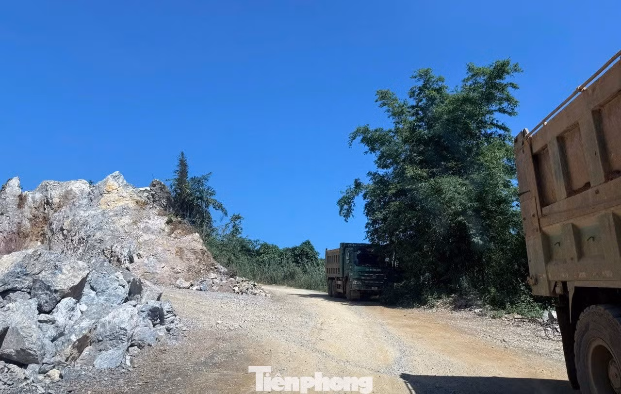 tp-1.jpg