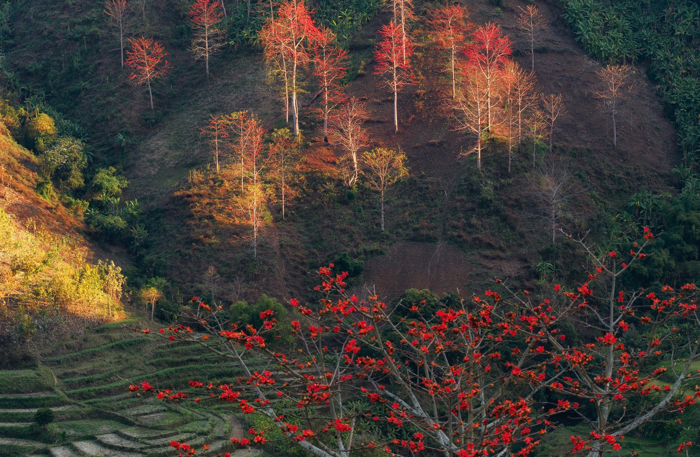 a14.jpg সম্পর্কে