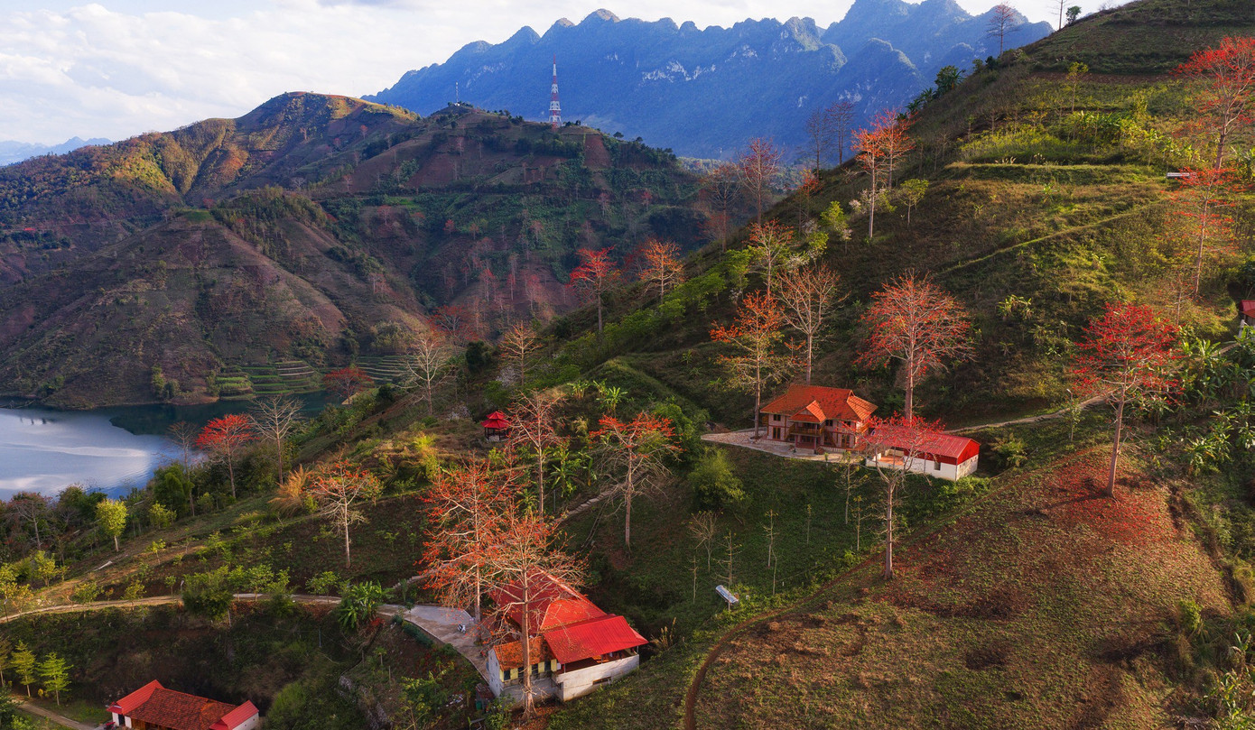 a12.jpg সম্পর্কে