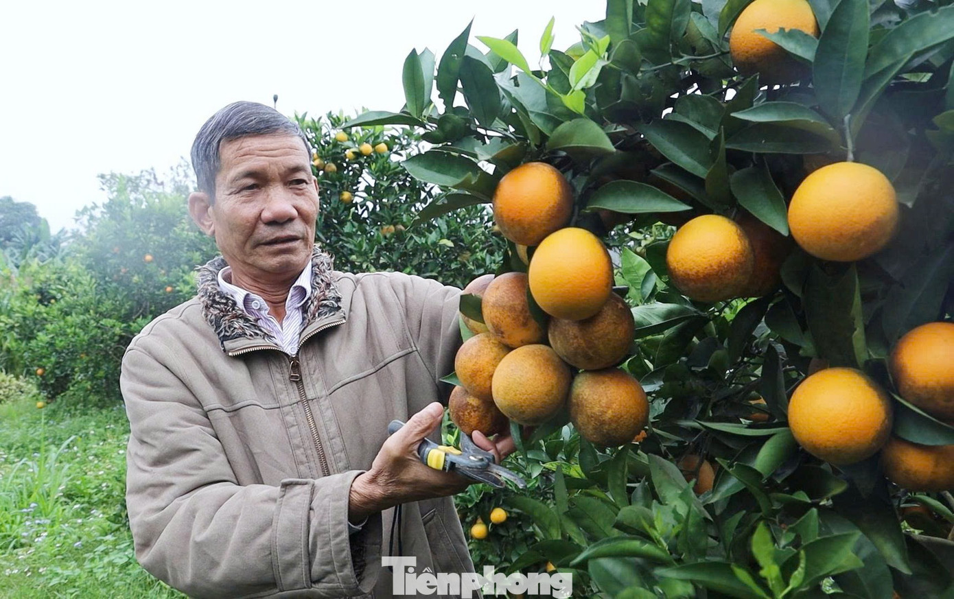 Tuan Hoang Van Chat. tp-1.jpg