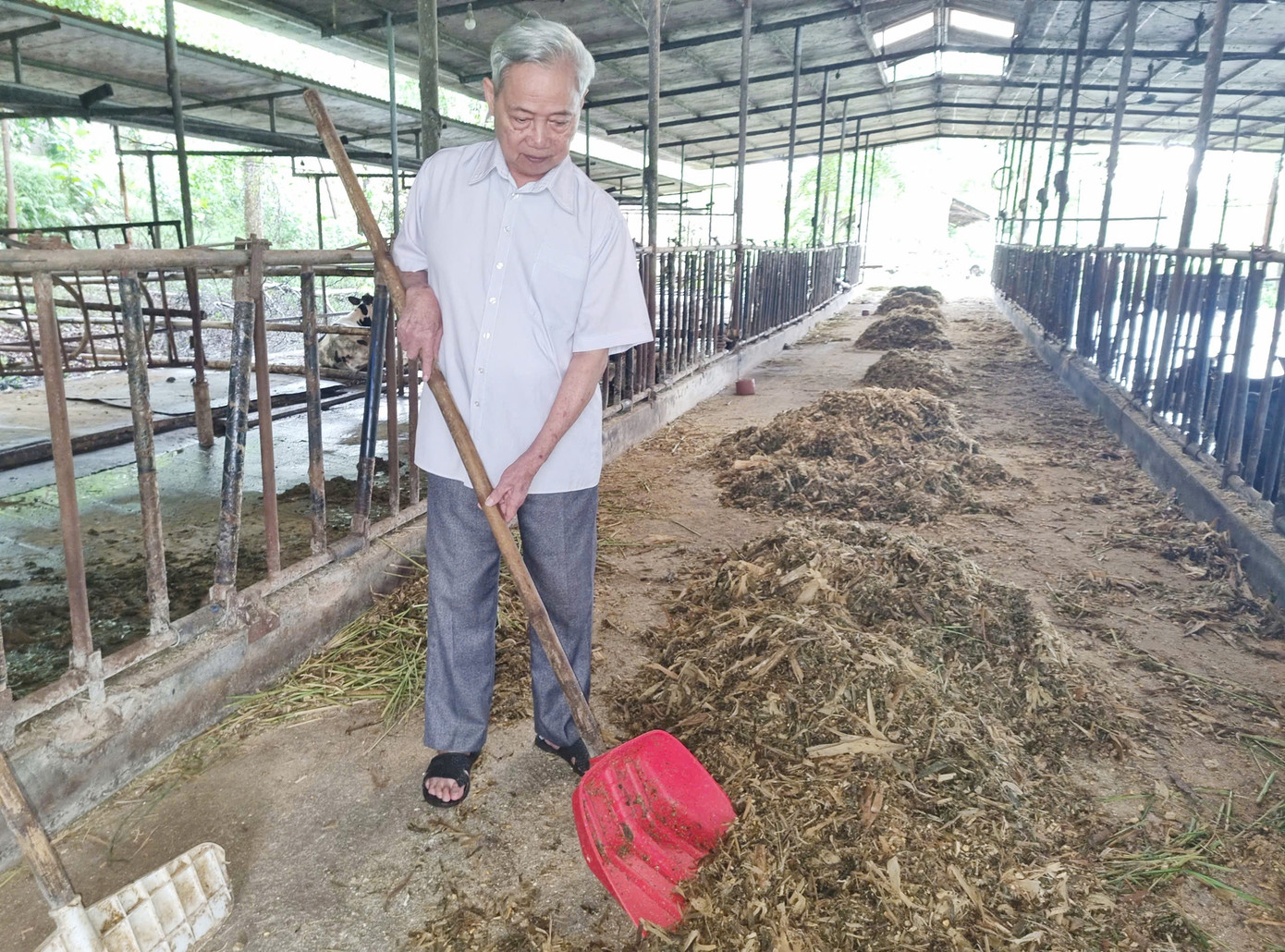 Senhor Chu Van Sam a1.jpg