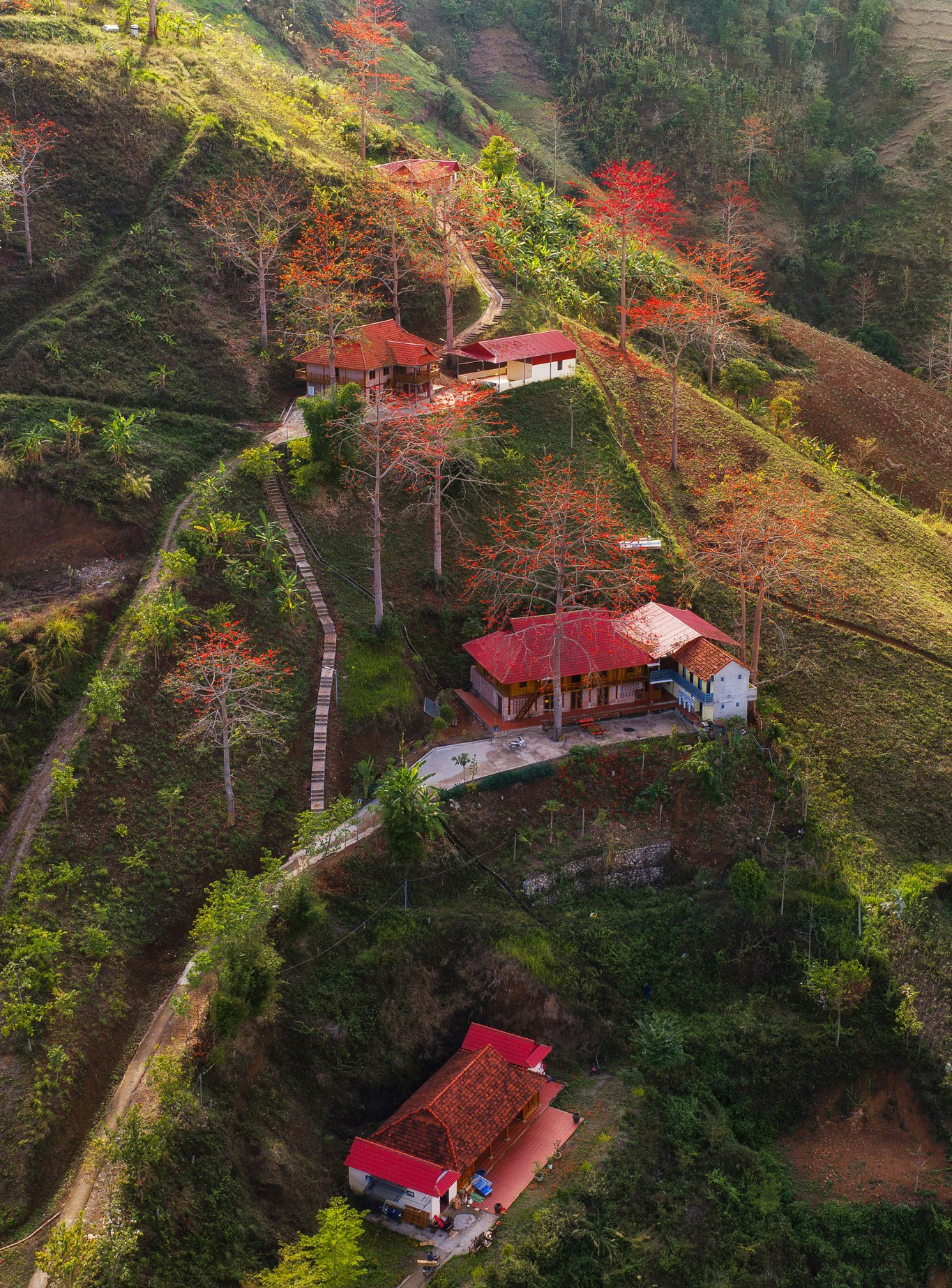 a11.jpg সম্পর্কে