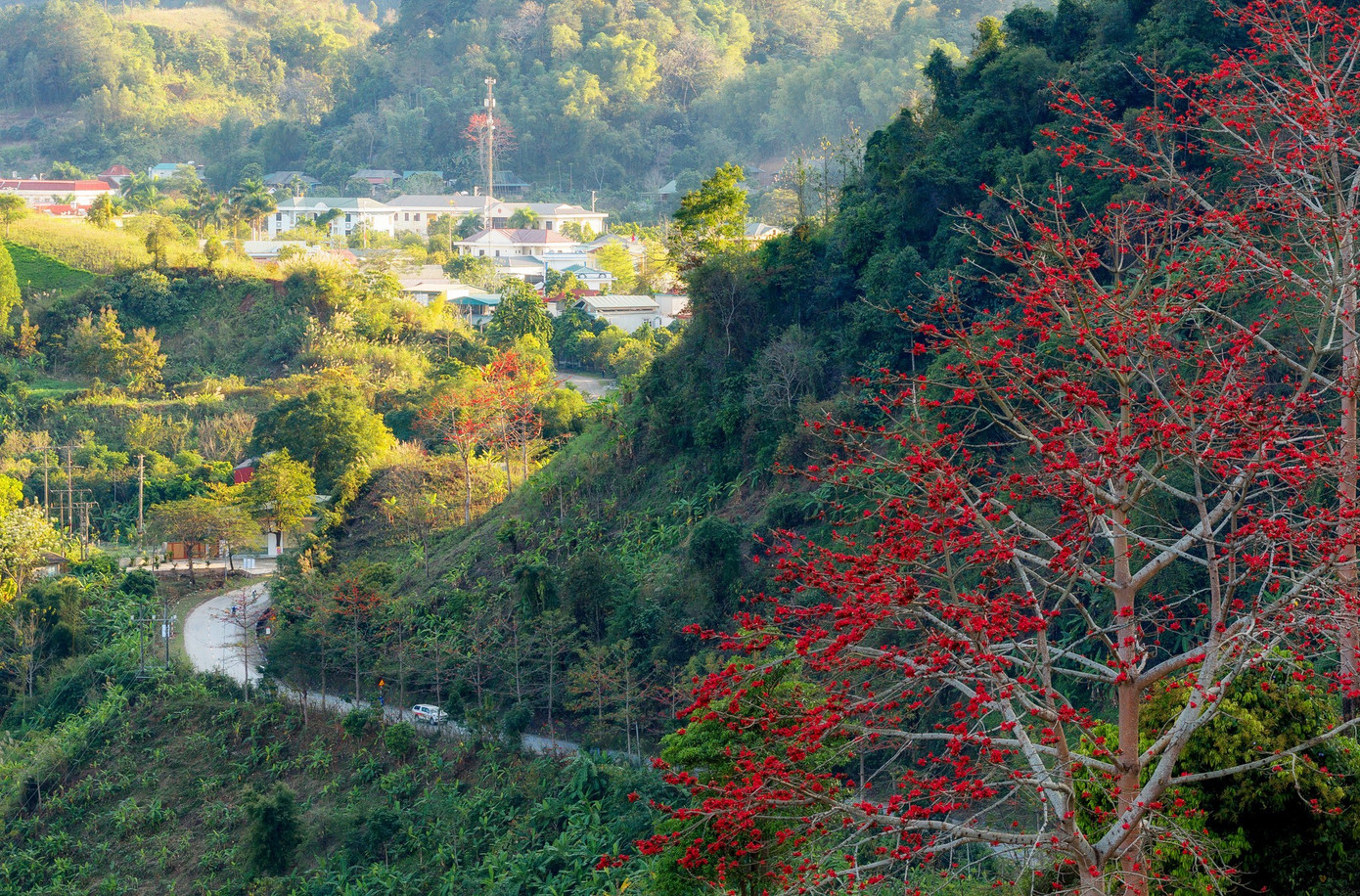 a15.jpg সম্পর্কে