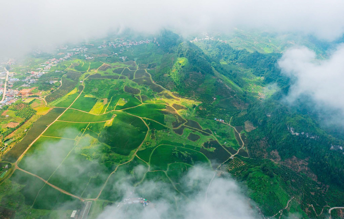 Mê mẩn đồi chè Mộc Châu mùa xuân- Ảnh 1.