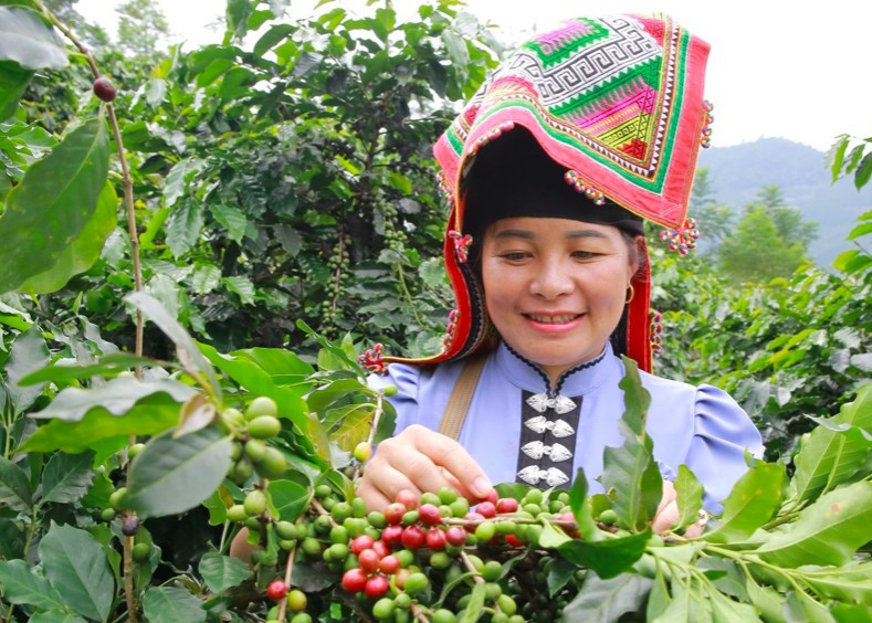 អ្នកស្រី ខេម ធីម៉ុន a1.jpg