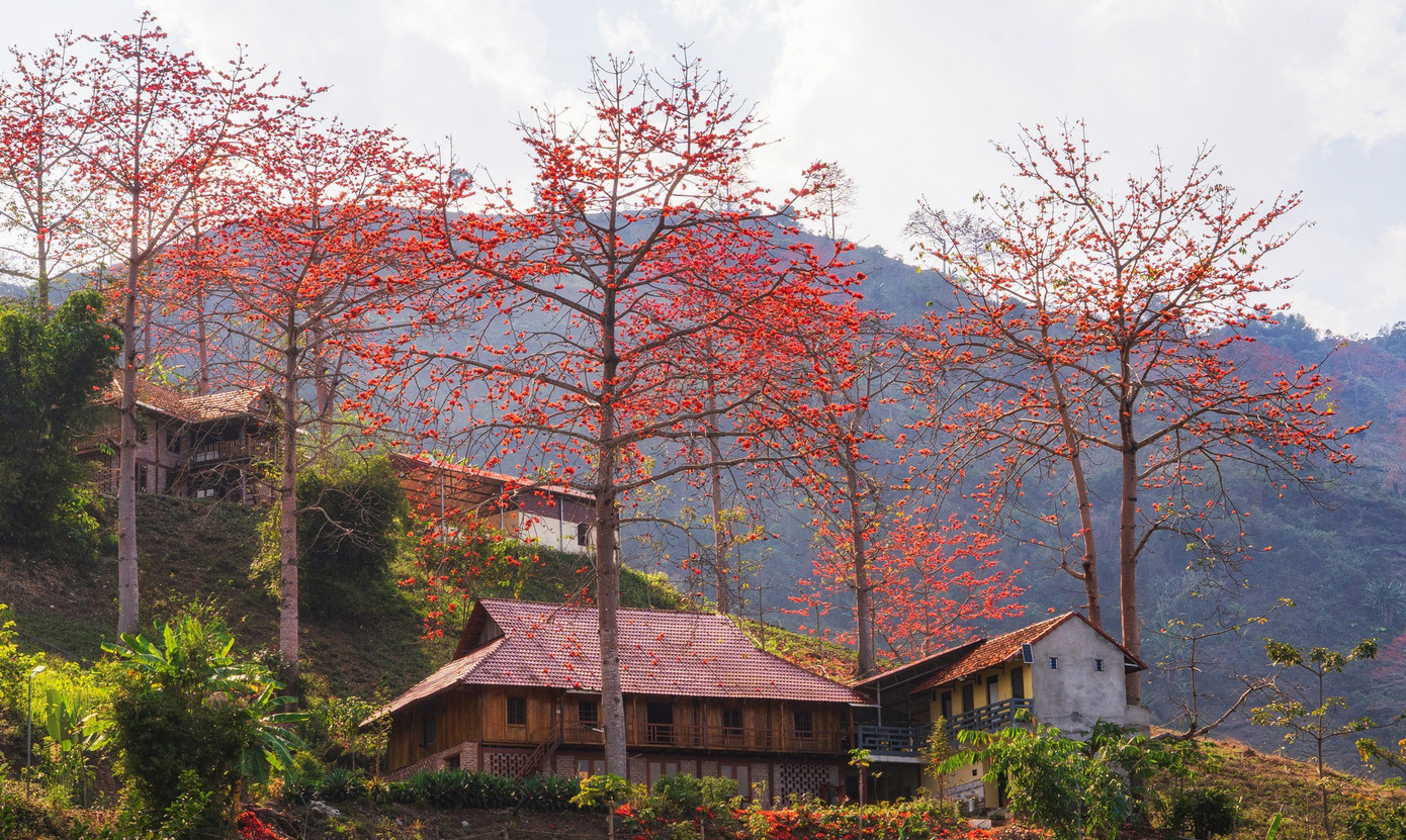 a7.jpg সম্পর্কে