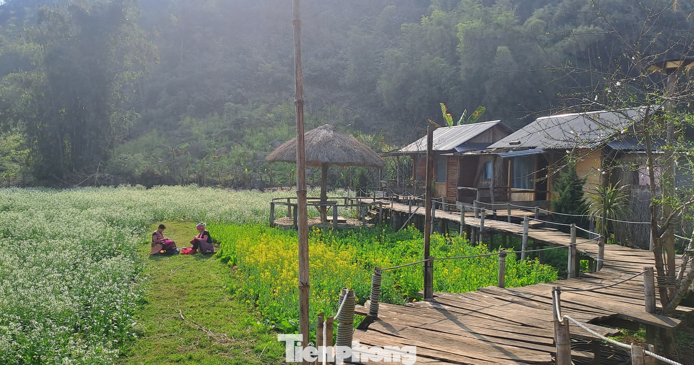 Ett Di Homestay-landskap. tp-2.jpg