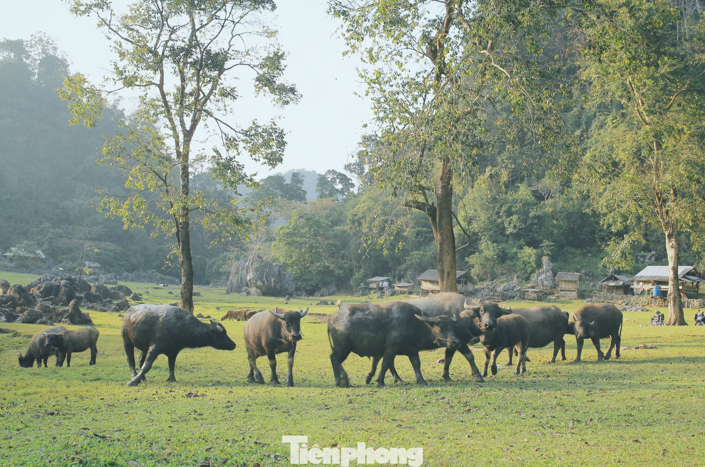 المناظر الطبيعية الريفية في هانغ تاو. tp-2.jpg