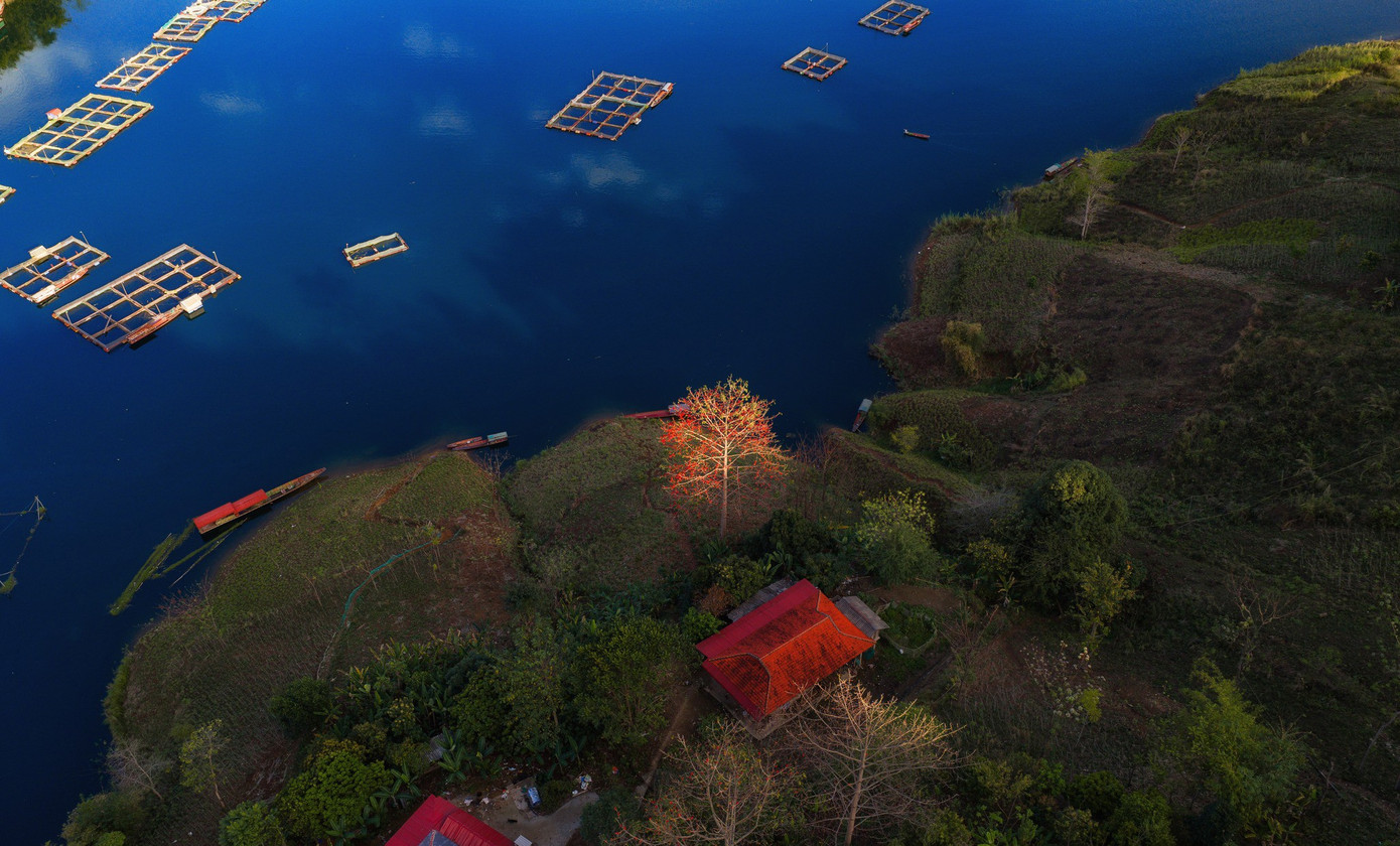 a17.jpg সম্পর্কে