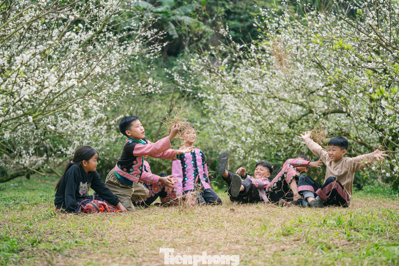 টিপি-৯.জেপিজি