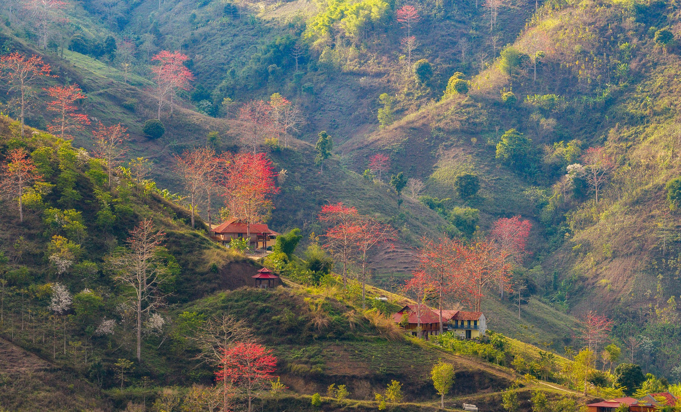 a5.jpg সম্পর্কে