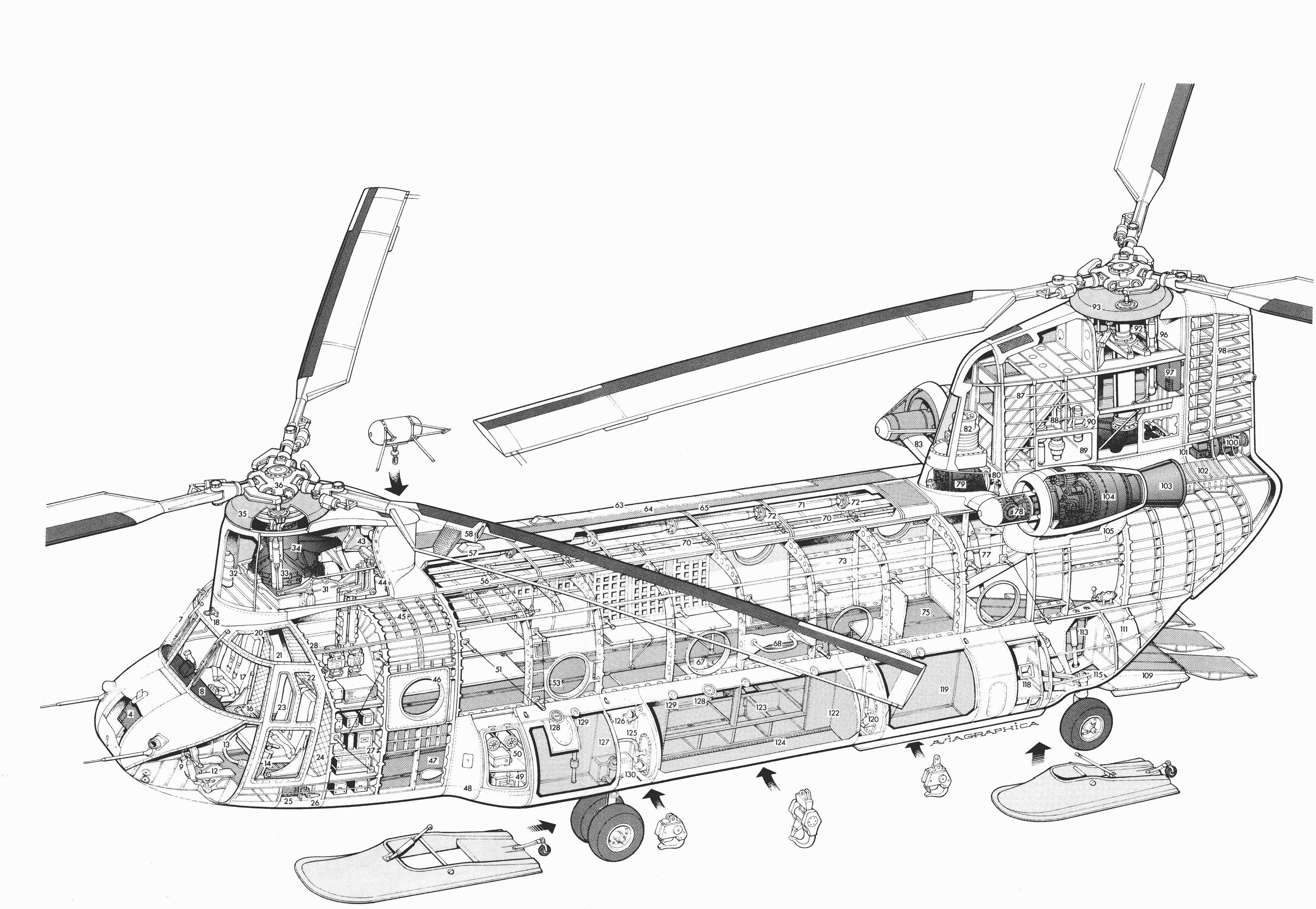 Bản vẽ mô phỏng CH-47. Ảnh: conceptbunny.com