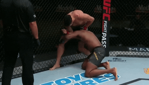 Johnny Walker hạ đo ván Ryan Spann.