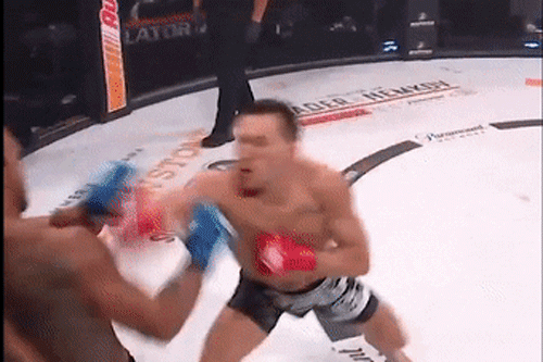 Michael Chandler ra đòn hạ knock-out Benson Henderson.