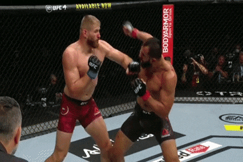 Jan Blachowicz hạ knock-out đối thủ.