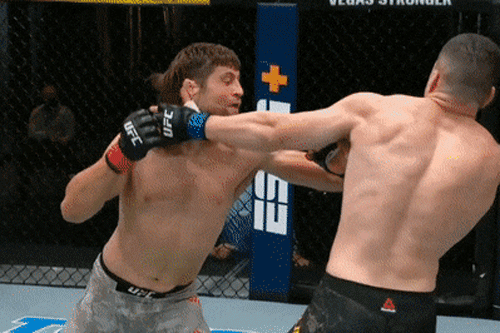 Andrew Sanchez ra đòn hạ knock-out đối thủ.