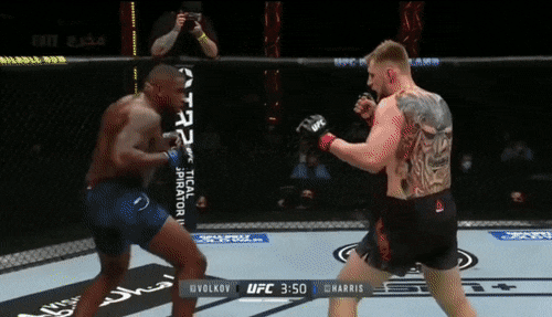 Alexander Volkov tung cú đá chính xác khiến đối thủ gục ngã.