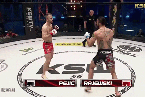 Filip Pejic ra đòn hạ gục Sebastian Rajewski.