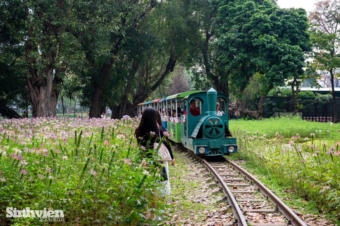 doan-tau-cong-vien-thong-nhat-x-8.jpg