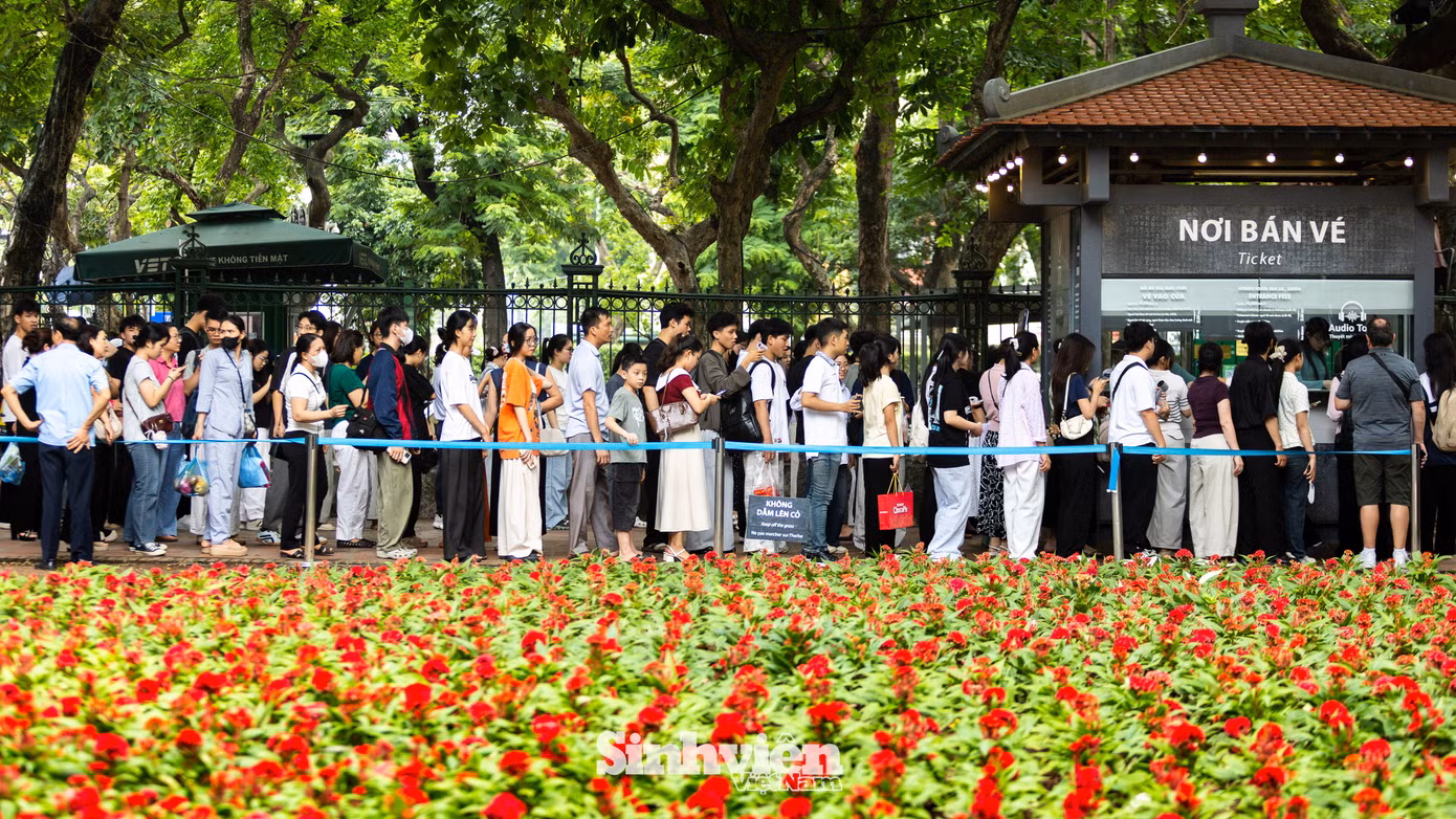 si-tu-den-van-mieu-cau-may-nhan-xoai-dang-khoa-2026-2779.jpg