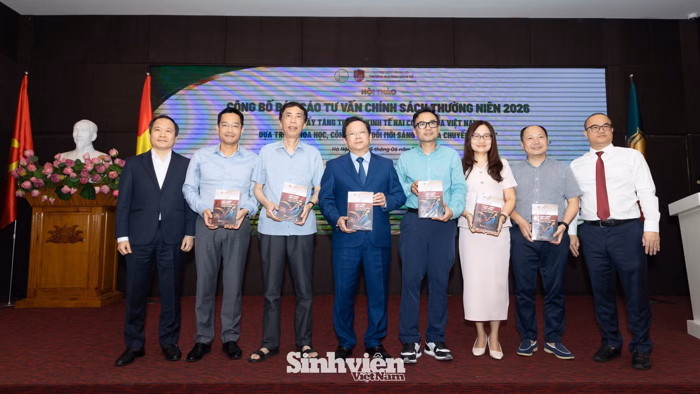 ueb-bao-cao-tu-van-chien-luon-phat-trien-kinh-te-viet-nam-2492.jpg