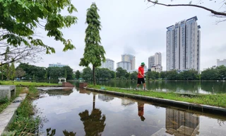 Những ‘lá phổi xanh’ Hà Nội đang bị bỏ quên