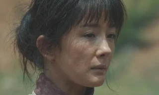 Phim lập kỷ lục, Dương Mịch càng bị chê