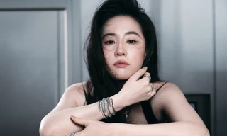 Một năm buồn của Lưu Diệc Phi