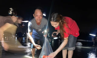 Ngao, sò đắp đống ở bờ biển Ninh Bình, người dân đổ xô đi bắt trong đêm