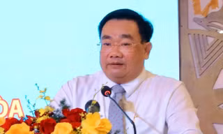 Khánh Hòa sở hữu quần thể chim yến đảo thiên nhiên lớn nhất châu Á