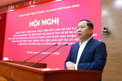 Triển khai Kết luận 230 của Bộ Chính trị, Ban Bí thư về sắp xếp các hội quần chúng