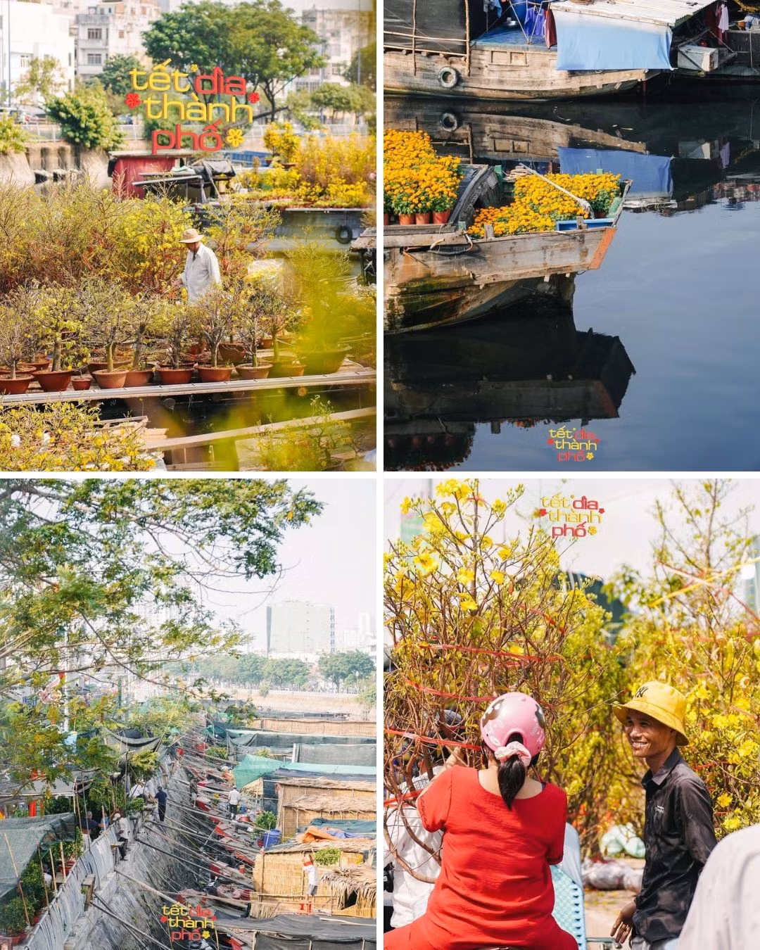 thanh-co-bac-ninh.jpg
