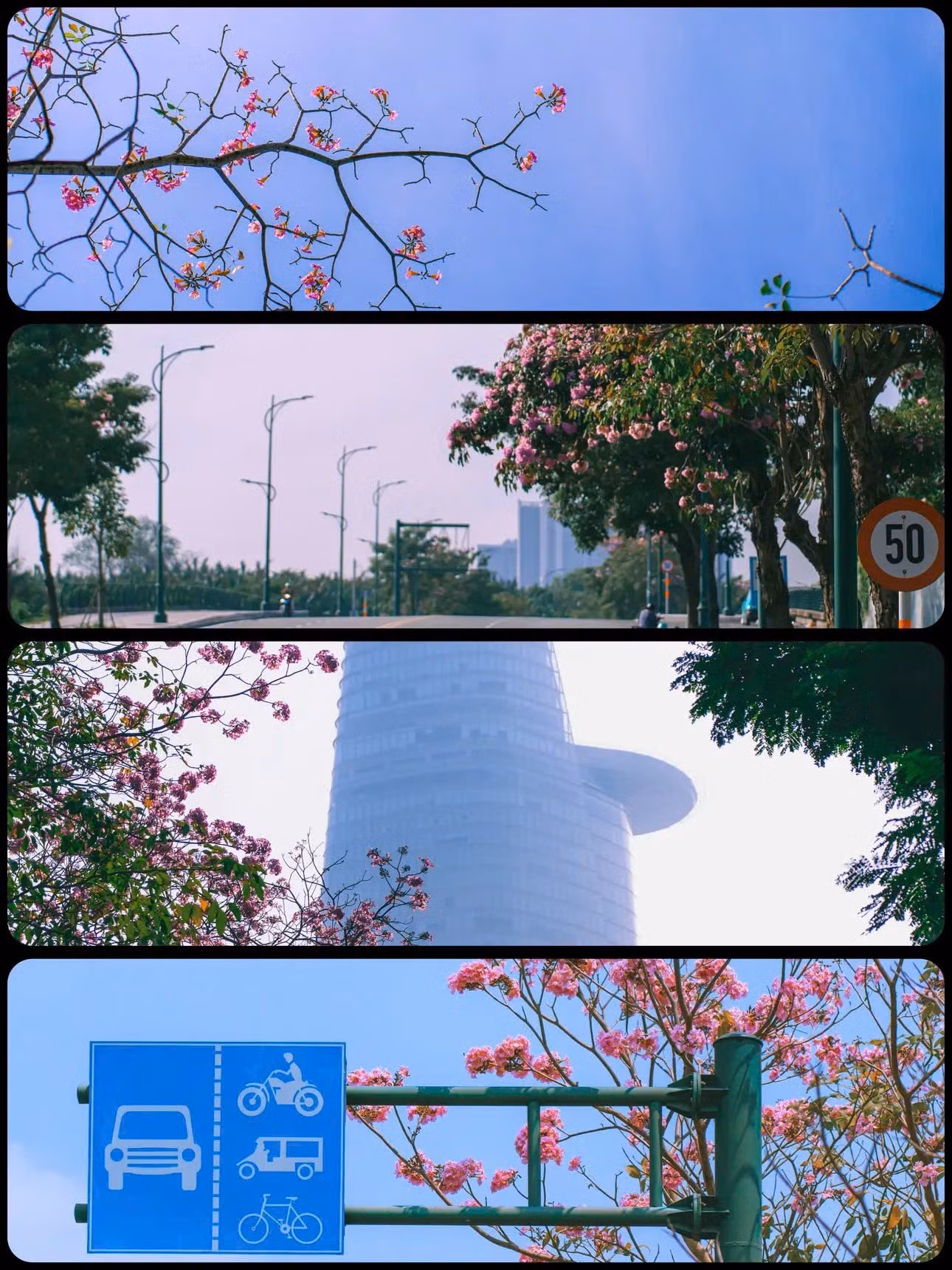 z7612871470179-7152dc3a29d90b27c8fb7e5e89286560.jpg