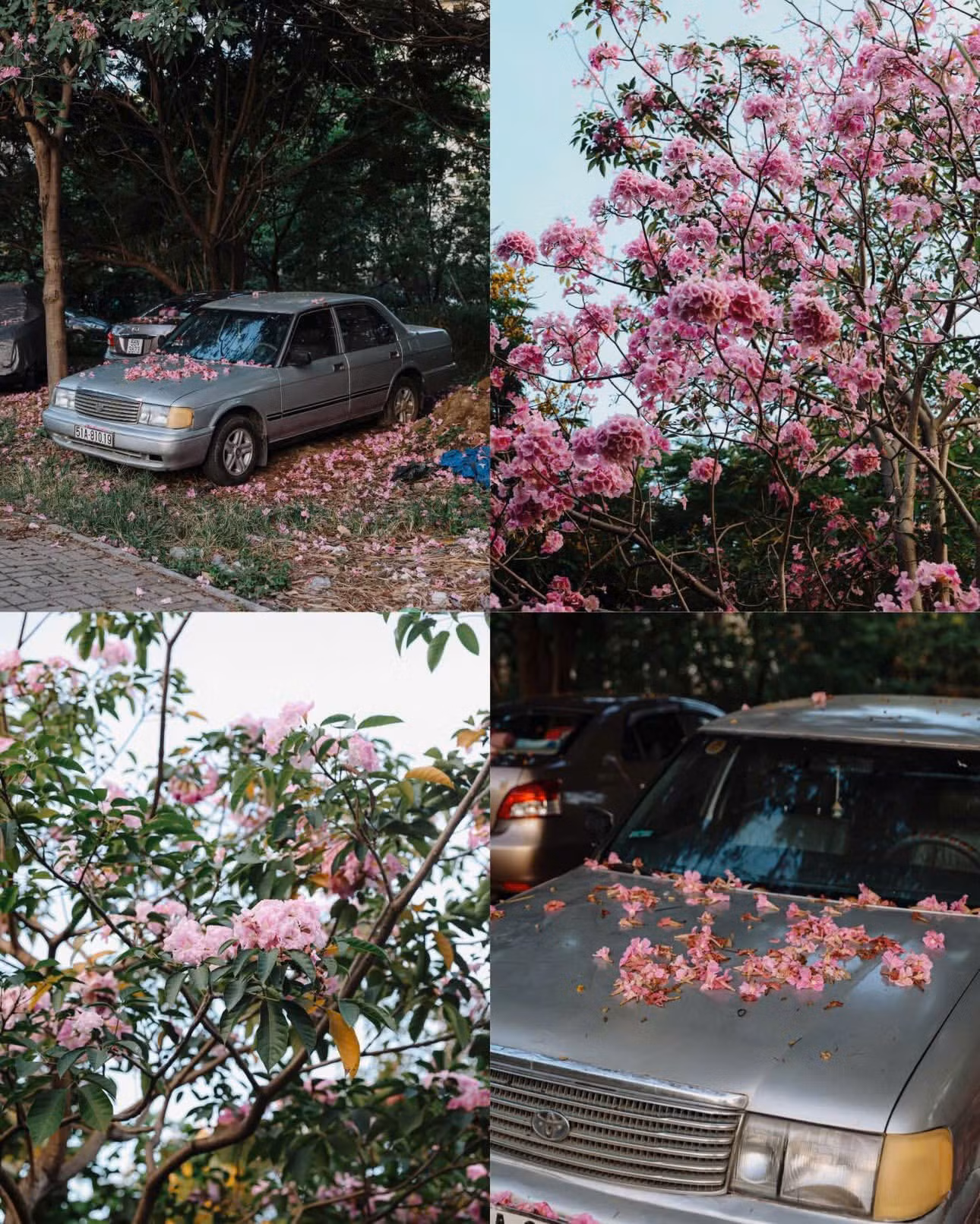 z7612871446040-798a2a55a8c5eabae32a3b0a31f78fd9.jpg