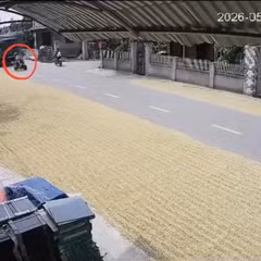 'Chiếm' đường phơi lúa, rơm rạ dẫn tới tai nạn bị xử lý thế nào?