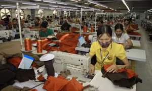 1600 doanh nghiệp, hợp tác xã sẽ được hỗ trợ đổi mới công nghệ