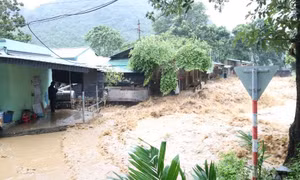 160 người thương vong, mất tích do bão số 10 Bualoi