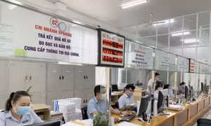 Cán bộ cấp sổ đỏ tối đa 5 năm phải chuyển công tác