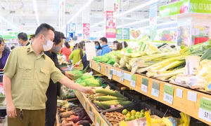 Hoàn thiện nghị định mới để kiểm soát chặt an toàn thực phẩm