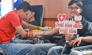Vì sao hiến máu giúp giảm nguy cơ bệnh tim mạch và ung thư?